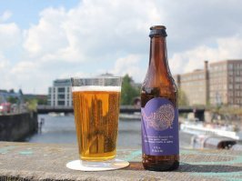 Midas Touch
Специалисты из Dogfish Head настаивали это пиво в бочке, которую нашли в Турции в гробнице Мидаса – фригийского царя, правившего в VII веке до нашей эры. Те, кому посчастливилось попробовать этот напиток, утверждают, что он имеет приятное сочетание вкуса пива, вина и меда. А изюминка в этом древнем коктейле совершенства – ароматы шафрана (пряность и пищевой краситель оранжевого цвета, получаемый из высушенных рылец цветков шафрана посевного) и ноты виноградного сока.
Каким бы пиво не было, оно явно вкуснее, если его лениво потягивать, сидя на собственном троне и глядя, как рабы на тебя пашут.
