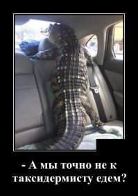 Женский образ в демотиваторах