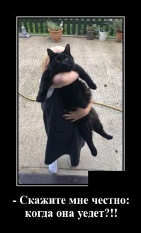 Женский образ в демотиваторах