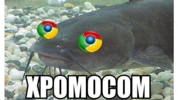 Скрины из социальных сетей