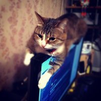 раньше

теперь