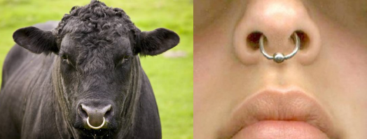 Ассоциация...