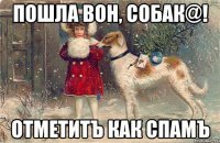 Это всё на что ты способен, слабак :)