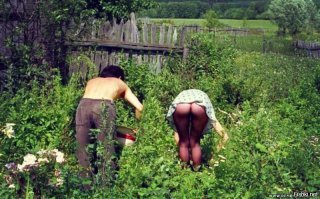 Дачный сезон открыт