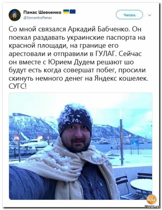 В Магадане связь не берёт, кошелек яндекса не работает... Очередной развод от аркаши....