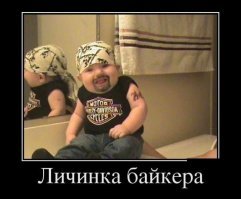 Свежая подборка демотиваторов, которые поднимут вам настроение