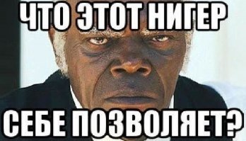 Да что он себе позволяет?! Реакция кота на ответный "кусь" от хозяина