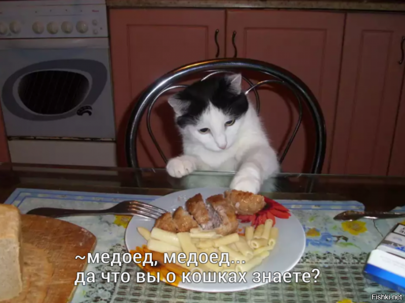 Солянка от 06.05.2019