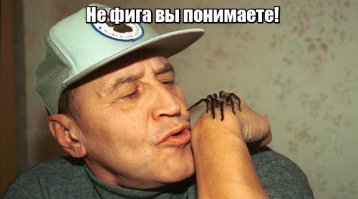 Отчего многие так боятся пауков