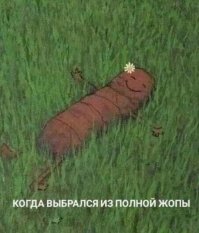 Картинки не для всех