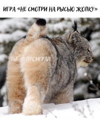 Картинки не для всех