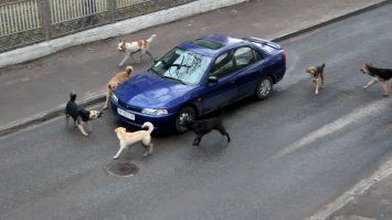 сразу возникла картинка в голове :)