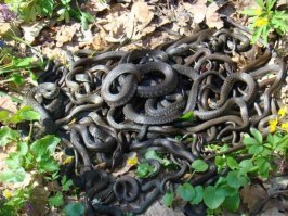 Свежая подборка демотиваторов, которые поднимут вам настроение