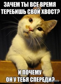 Скриншоты из социальных сетей