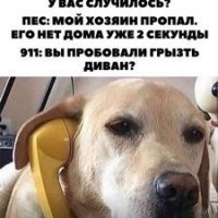 Картинки с надписями