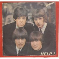 ЖУКов Вам в ленту