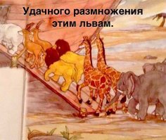 Вспомнилось, правда про львов