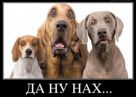 Факты, которые вас поразят