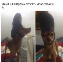 Картинки не для всех