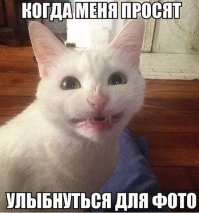 Сарказм. Просто сарказм