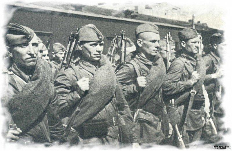 Наши войска отступали к Сталинграду. Были случаи, когда части без боя сдавали свои позиции. Ситуация была критической и тогда в конце июля вышел приказ № 227 «Ни шагу назад». Очень нужный приказ. Многие встретили его с одобрением и говорили, что надо бы было его издать пораньше.
------
Вот ПРАВДА!