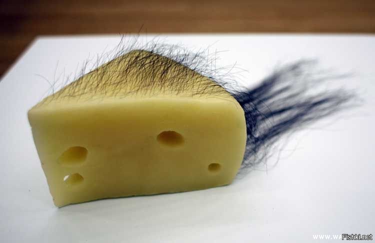 Волосатый пирожок. Смешной сыр. Волосатый сыр. Сыр с волосами. Сыр смешно.