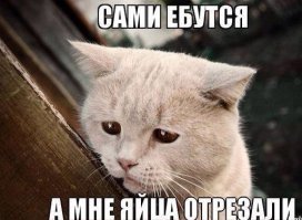 Картинки с надписями
