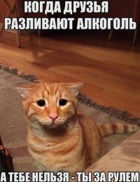 Картинки с надписями
