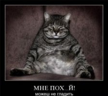 Кадры решают всё