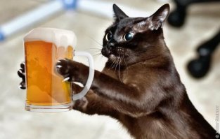 Кадры решают всё