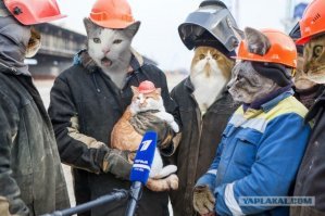 Братан, как же ты упустил фотку, нашего главного по Крымскому мосту?
Рыжик Мостик на тебя обиделся ;)