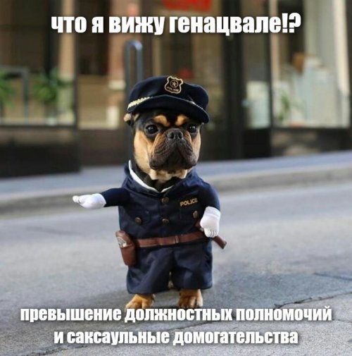 Прикольные и смешные картинки