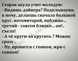 Беспилотник заснял акулу, преследующую пловца у побережья Австралии