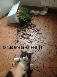 20 человек, которых настиг худший день в их жизни