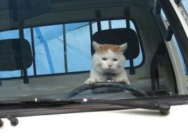 Кадры решают всё