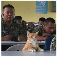 Кадры решают всё