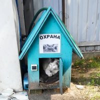 Кадры решают всё