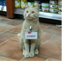 Кадры решают всё