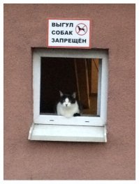 Кадры решают всё