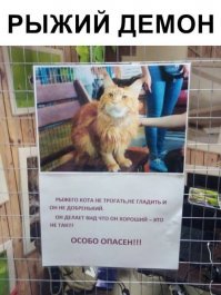 Кадры решают всё