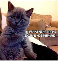 Сам пшел на член!
Нечего тут другим указывать.

.