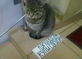 Кадры решают всё