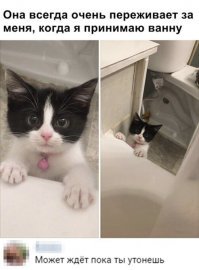 Кадры решают всё