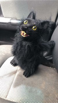 Кадры решают всё