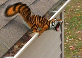 Для утреннего настроения