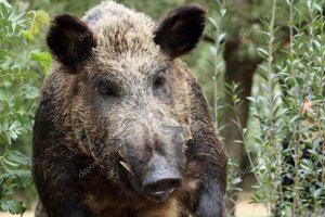 Не благодари.