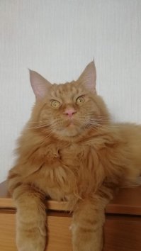 мой чудик :)