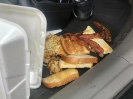 Скажи человек, каких ты размеров когда у тебя такие на хрен завтраки.