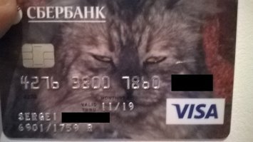 Знакомьтесь, мой кот Персик )