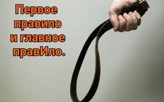 Часто хватает одного раза и можно забыть о 21 правиле.